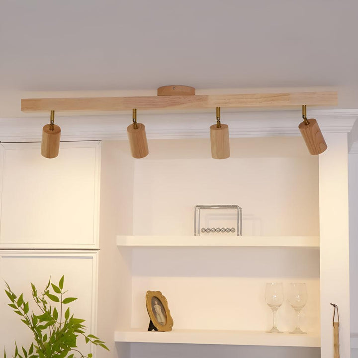 Track Ceiling Light With Adjustable Rotatable Spotlight Heads