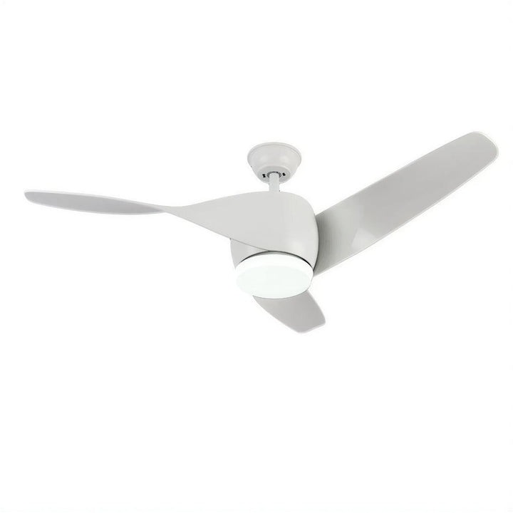 Wooden Curved Ceiling Fan Light With Remote Control And DC Motor